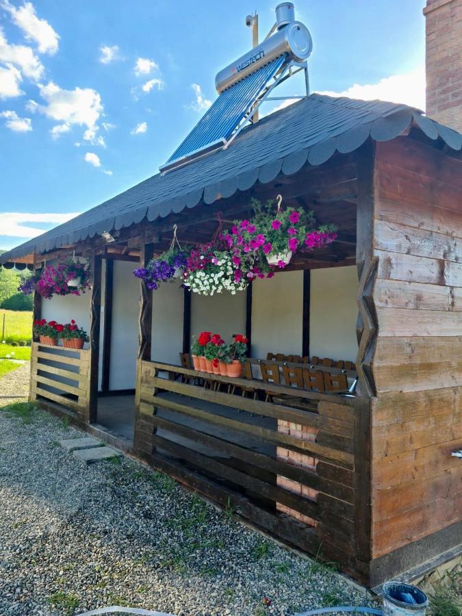 A-Frame Bucovina- Paradis Bucovinean Capu Cimpului Exterior photo