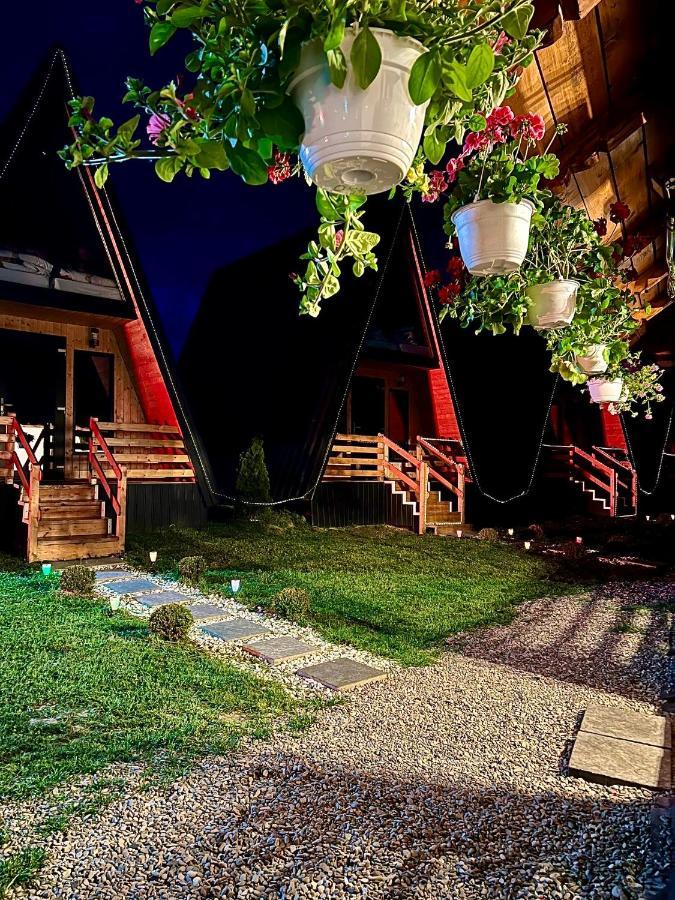 A-Frame Bucovina- Paradis Bucovinean Capu Cimpului Exterior photo